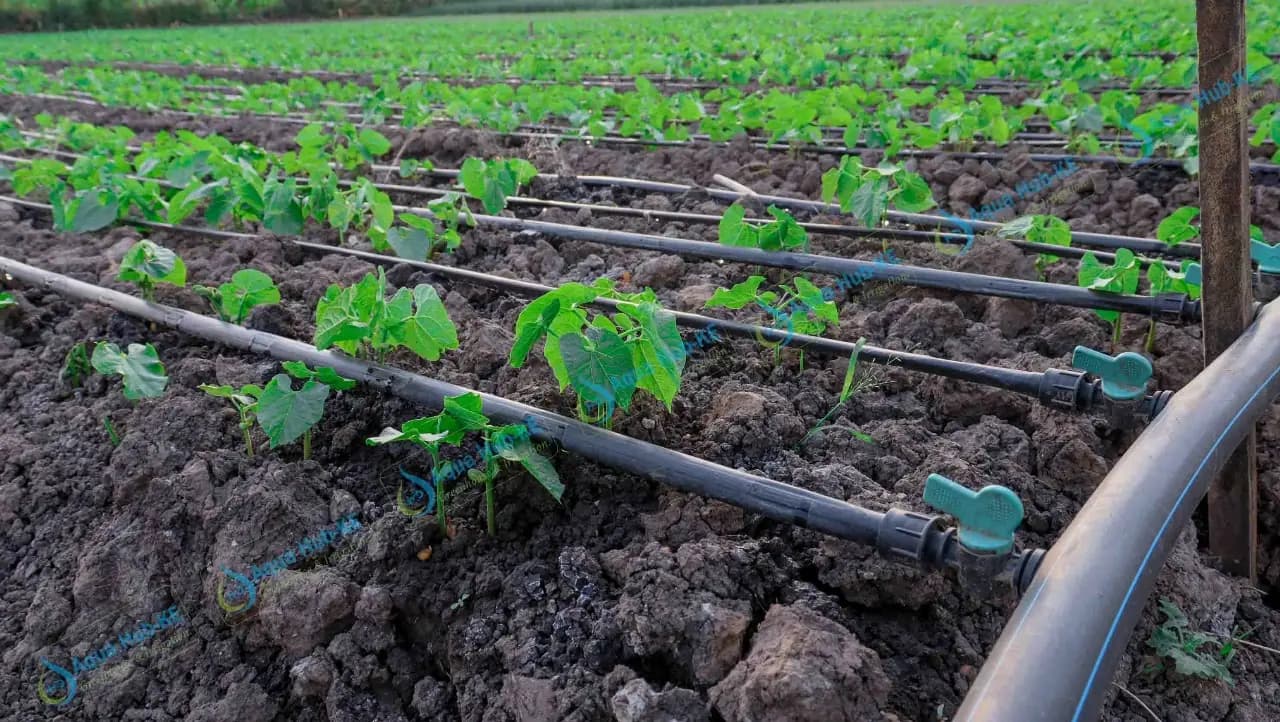Improve Your Lawn with Professional Irrigation Services in Lakeside, TX