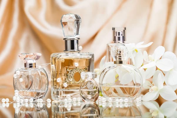 Best Oud Perfume for Women Who Love Rich Warm Fragrance
