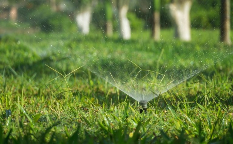 Expert Drainage Services in Fort Worth, TX – Water Management Solutions
