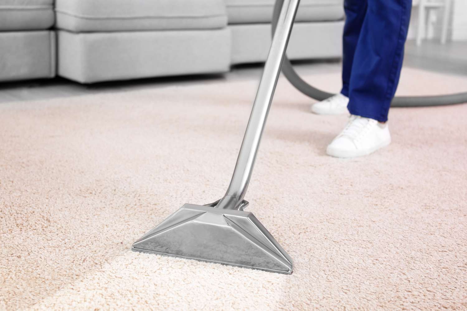 Affordable Carpet Cleaning Auburn CA Services Near You