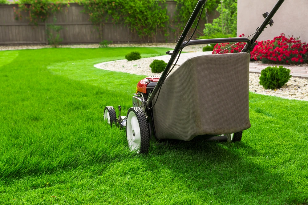 Brisbane Lawn Mowing Experts for Professional Lawn Care