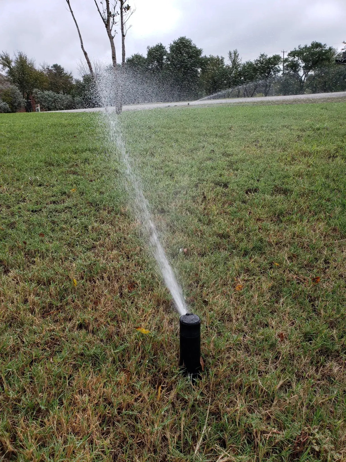 Expert Drainage Services in Springtown, TX for Long-Term Results
